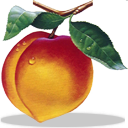 Peachtree Complete Accounting icon png 128px