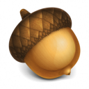 Acorn icon png 128px