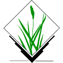 GRASS icon png 128px