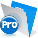 FileMaker Pro for Windows icon png 128px