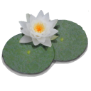 LilyPond icon png 128px