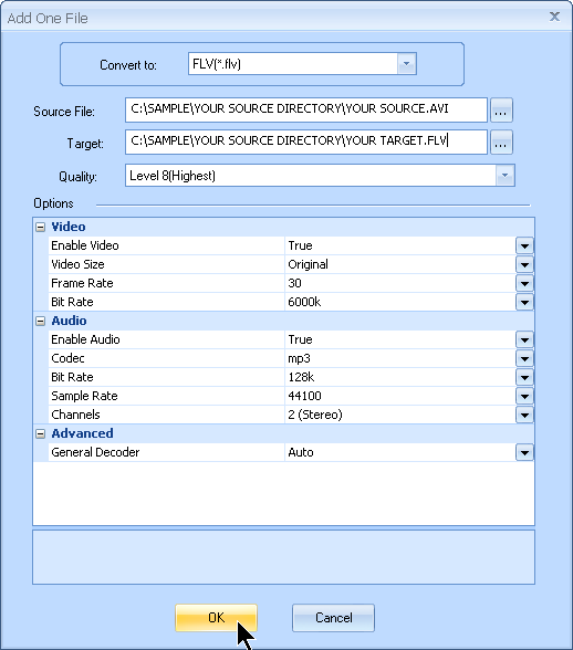 Set up the output FLV filename and any additional audio video settings customized by MyVideoConverter.