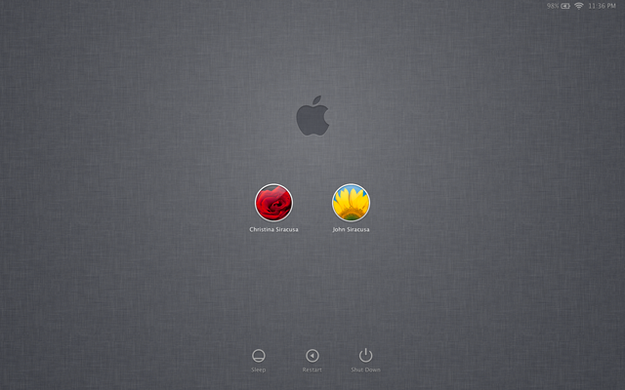 Mac OS X Lion login screen
