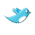Silver Bird logo