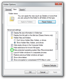 Showing hidden system files in Windows folder options.