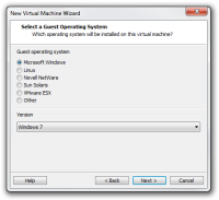 Step 3 of making of new virtual machine in VMware.