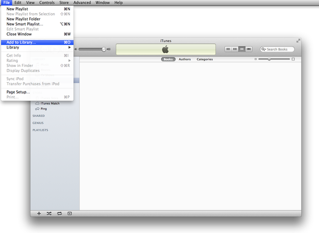 Importing books to iTunes