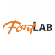 FontLab Ltd. logo