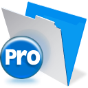 FileMaker Pro for Windows icon png 128px