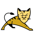 Apache Tomcat icon png 128px