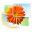 Microsoft Camera Codec Pack icon