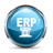 SAP ERP icon