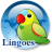 Lingoes icon