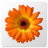 Artweaver icon