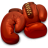 Boxer for Mac icon