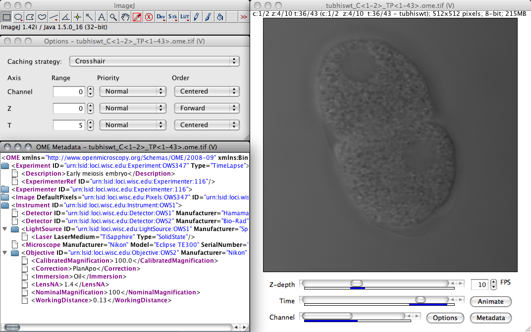 Bio-Formats picture or screenshot
