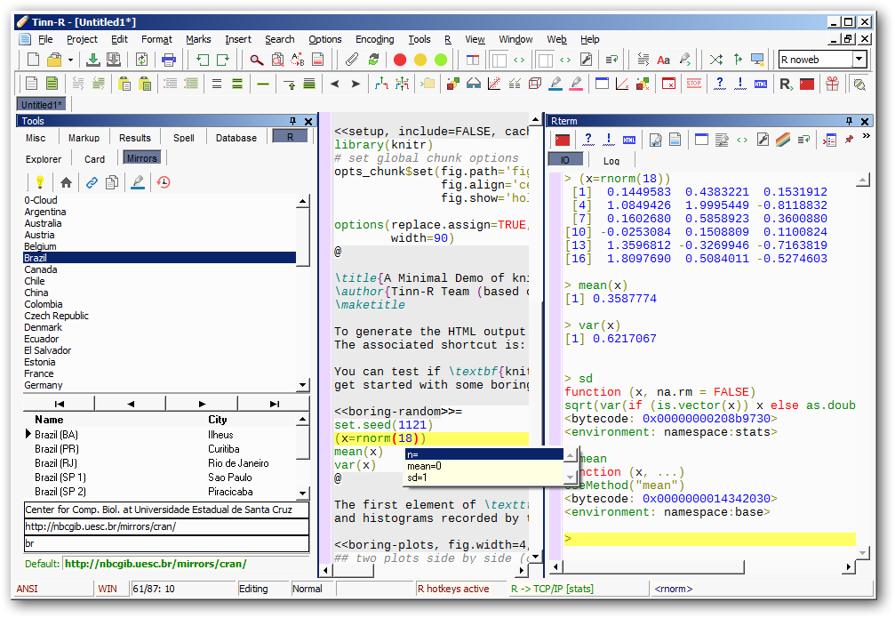 Tinn-R Editor picture or screenshot