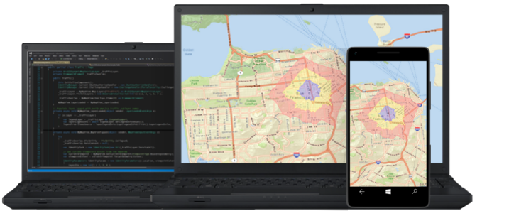ArcGIS Runtime SDK picture or screenshot