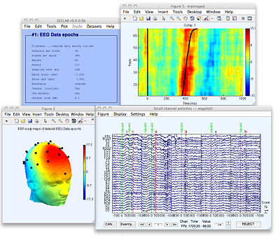EEGLAB picture or screenshot