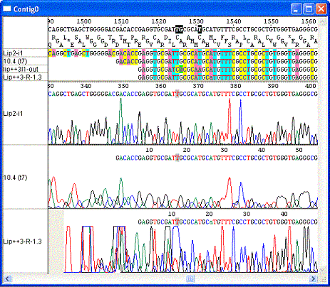ChromasPro picture or screenshot