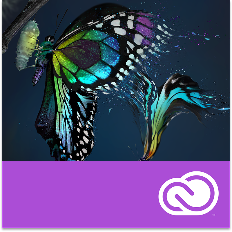 file extension adobe premiere pro