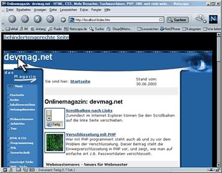 Netscape Navigator picture