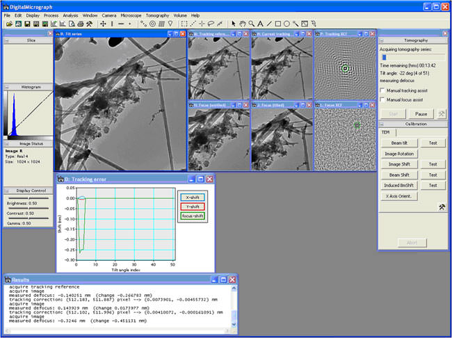 DigitalMicrograph picture or screenshot