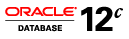 Oracle Database picture
