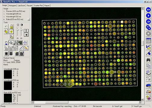 GenePix Pro picture or screenshot