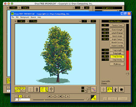 OnyxTREE BROADLEAF picture or screenshot