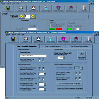 BallPark Business Valuation picture or screenshot