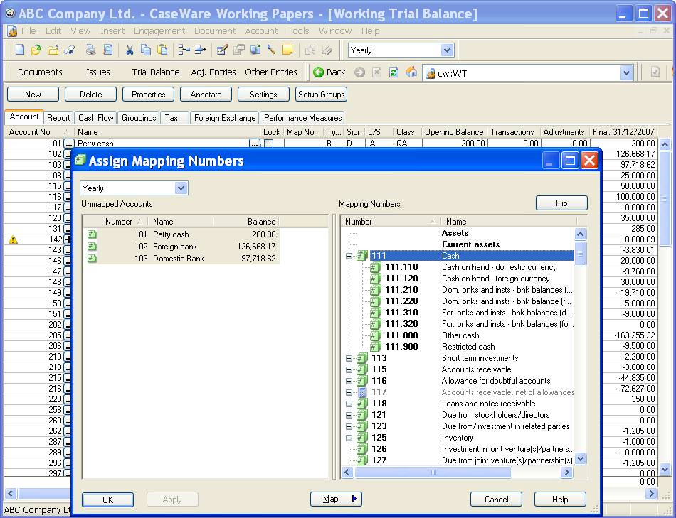 CaseWare Working Papers file extensions