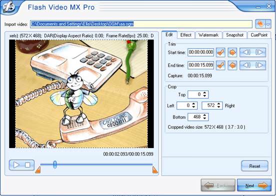 Flash Video MX Pro picture