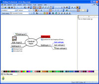 VisiMap Professional picture or screenshot