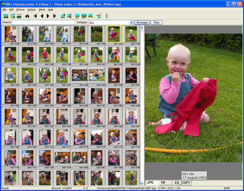 BR's PhotoArchiver picture or screenshot
