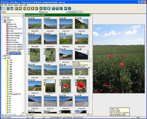 File extension PXF - BR's PhotoArchiver thumbnail cache file