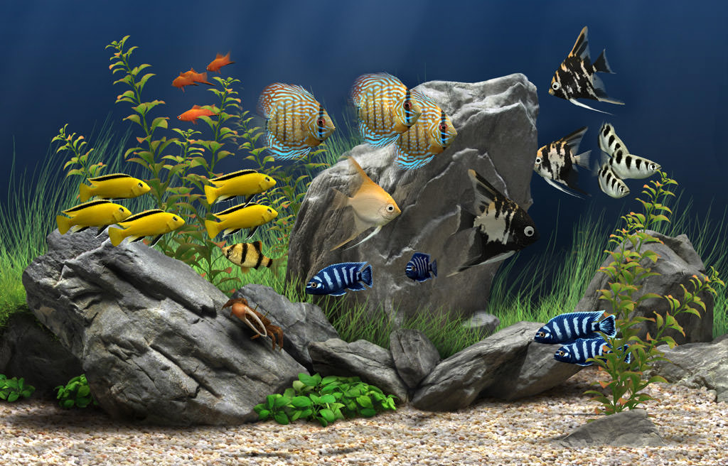 Dream Aquarium picture or screenshot