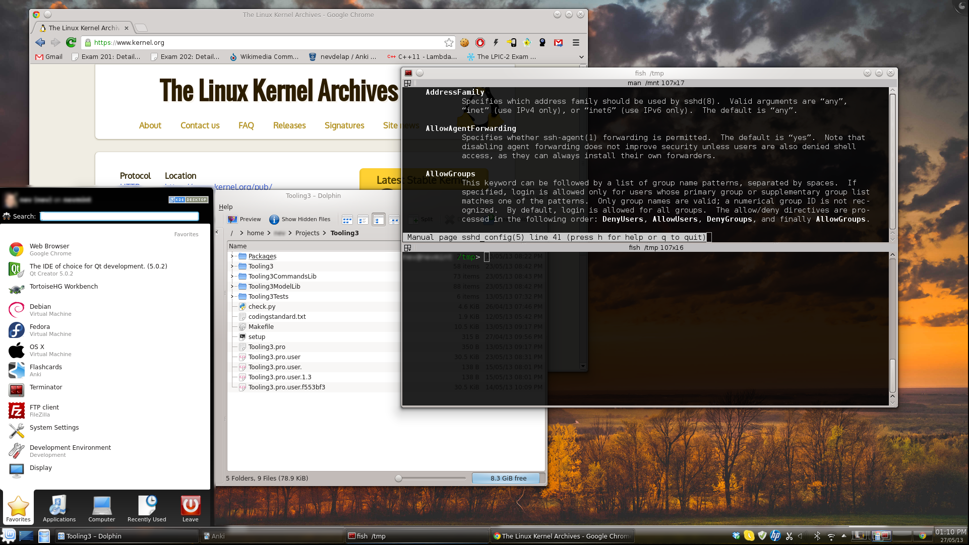 X Window System File Extensions