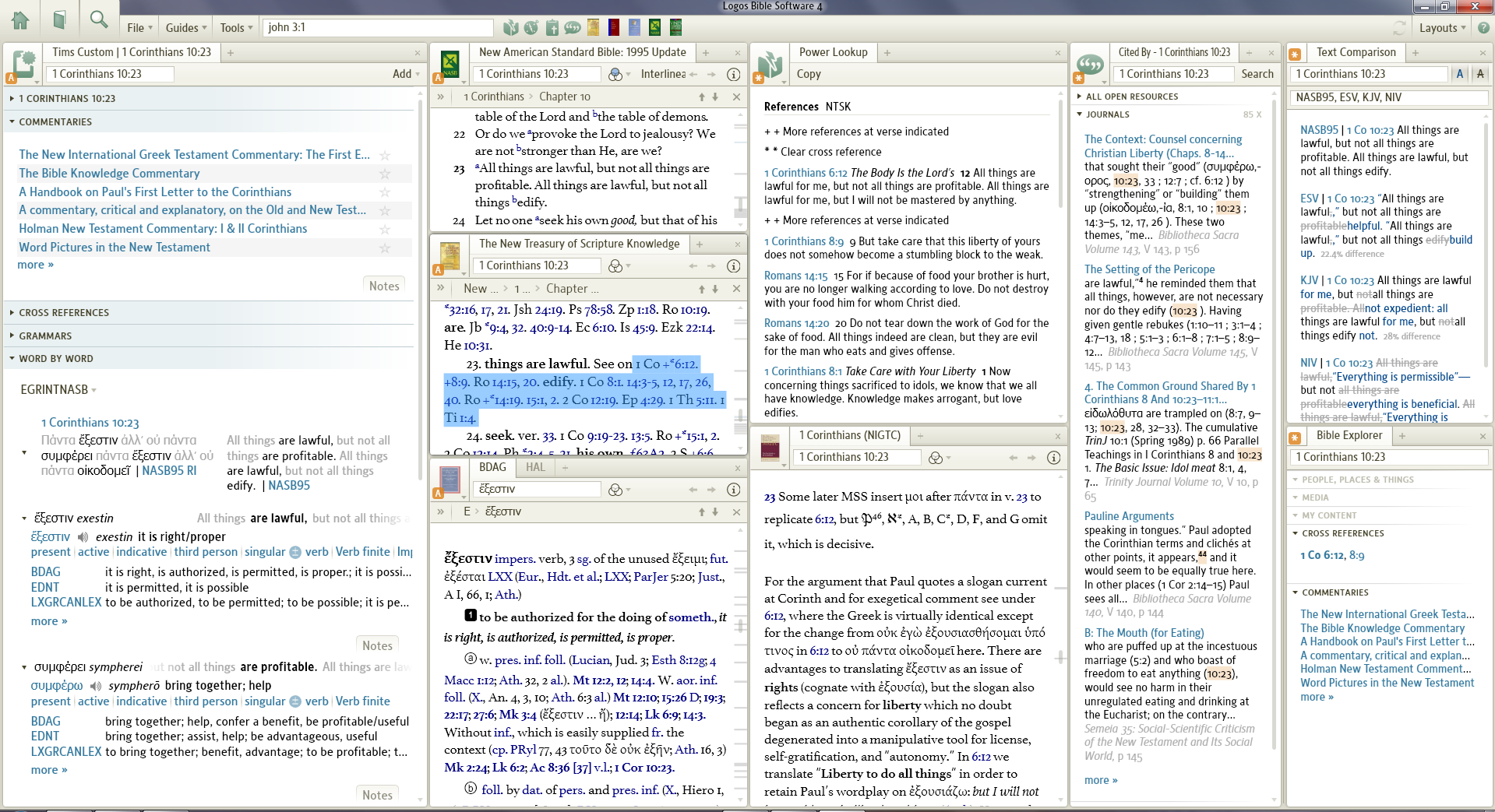 Logos Bible Sofware picture or screenshot