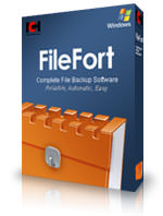 FileFort picture or screenshot