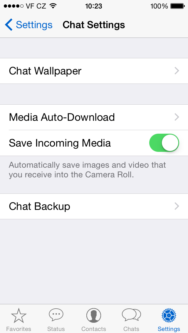 WhatsApp for iPhone chat settings screenshot
