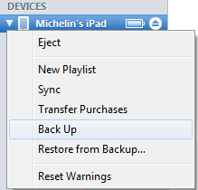 Apple iTunes Back Up menu