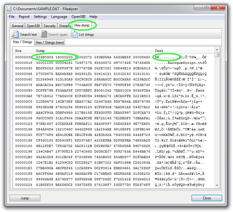 FileAlyzer ZIP file Hex Dump screenshot