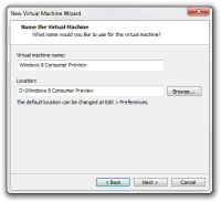 Step 4 of making of new virtual machine in VMware.