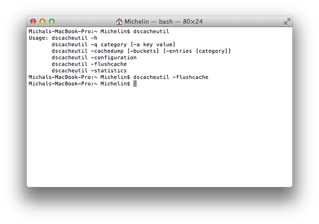 Apple Terminal flush DNS Cache