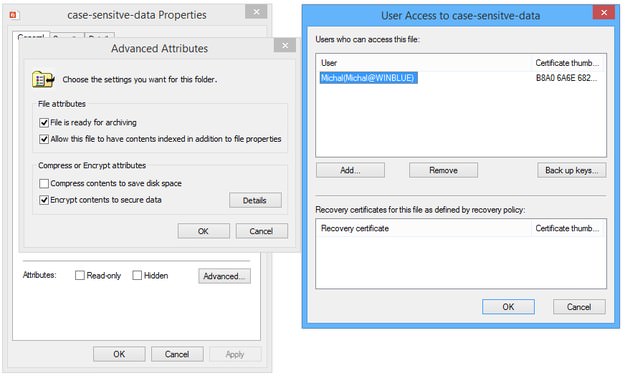 Windows EFS backup certificate