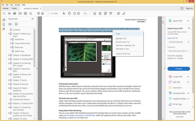 Adobe Acrobat Reader copy text