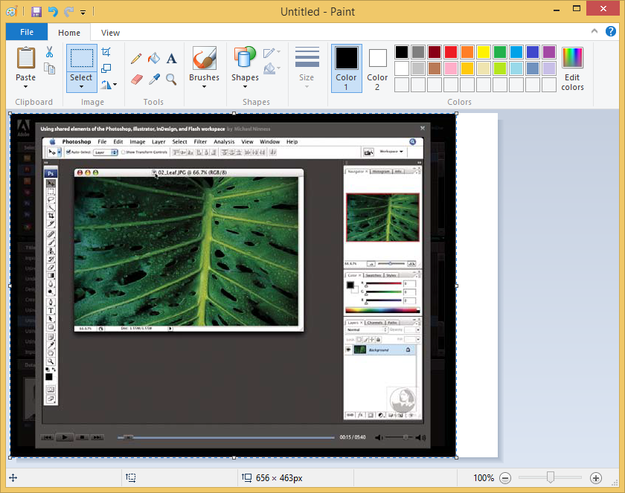 Picture image from pdf exported to Microsoft Paint