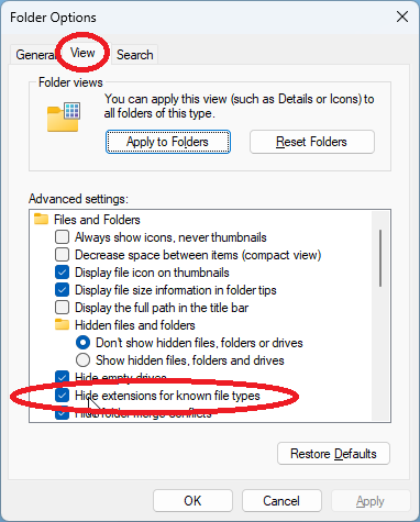 Folder Options settings in Windows 11