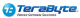 TeraByte, Inc. logo